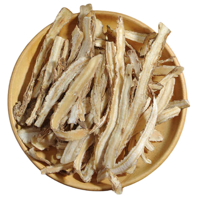 Dong-Quai-Angelica-Sinensis-PMS-Herbal-Plant