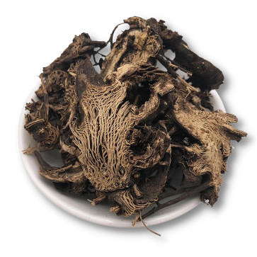 Black-Cohosh-Supplement-actaea-racemosa-or-cimicifuga-racemosa-PMS